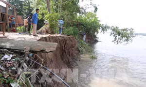 Khu sạt lở bờ sông Tiền tại ấp Bình Hòa, xã Bình Thành, huyện Thanh Bình. Ảnh: Nguyễn Văn Trí - TTXVN