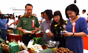 Thay đổi mạnh về phương pháp tiếp cận của khuyến nông với nông dân