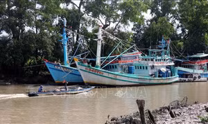 Tàu cá neo đậu khu vực vùng biển Rạch Giá (Kiên Giang). Ảnh: Lê Huy Hải - TTXVN