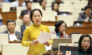 Đại biểu Quốc hội tỉnh Sóc Trăng Tô Ái Vang phát biểu. Ảnh: Văn Điệp - TTXVN