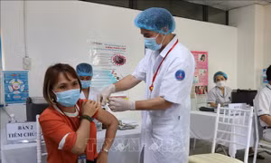 Dự kiến sáng 8/6, chính thức tiêm thử nghiệm vaccine Nano Covax giai đoạn 3