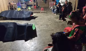 Đắk Lắk: Cây lớn ngã đổ làm 3 người tử vong, 1 người bị thương