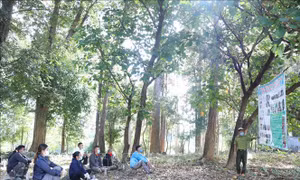 Tuyên truyền, giáo dục pháp luật về quản lý bảo vệ rừng cho người dân vùng đệm tại Vườn Quốc gia Yok Đôn. Ảnh: Tuấn Anh-TTXVN