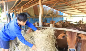 Hậu Giang phấn đấu mỗi năm giảm từ 2-3% số hộ dân tộc thiểu số nghèo
