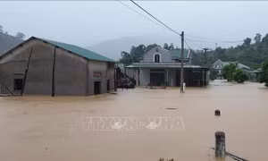 Bão số 9: Chủ động ứng phó, giảm thiệt hại về tính mạng và tài sản của người dân