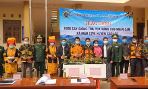 Đoàn kết quân dân bền chặt nơi biên giới Lạng Sơn