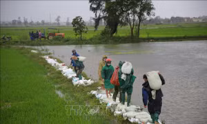 Đánh giá công tác phòng, chống thiên tai theo bộ chỉ số