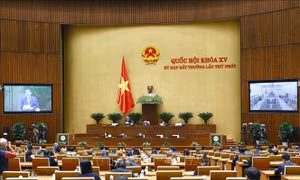 Thông cáo báo chí số 04, Kỳ họp bất thường lần thứ nhất, Quốc hội khóa XV
