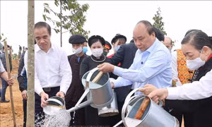 Thủ tướng Nguyễn Xuân Phúc phát động Tết Trồng cây Xuân Tân Sửu 2021 tại Tuyên Quang