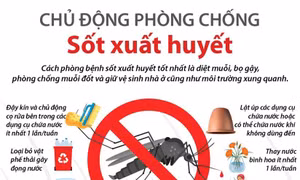 Yên Bái tăng cường phòng, chống bệnh sốt xuất huyết