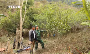 “Trụ cột” trong công tác tuyên truyền phát triển kinh tế, an ninh vùng biên tỉnh Nghệ An