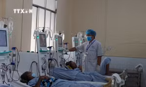 Các bệnh nhân chạy thận, lọc máu tại Trung tâm Y tế huyện Giồng Riềng (Kiên Giang). Ảnh: Văn Sĩ - TTXVN