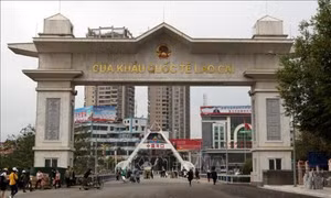 Lào Cai triệt phá đường dây đưa người xuất cảnh trái phép qua biên giới