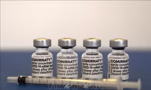 Vaccine ngừa COVID-19 của Pfizer/BioNTech. Ảnh: AFP/TTXVN
