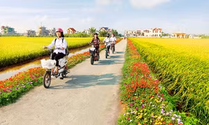 Ban hành Bộ tiêu chí xã nông thôn mới giai đoạn 2021-2025