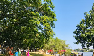 Không gian Vườn Cừa (Làng sinh thái Hương Trà). Ảnh: baoquangnam.vn 