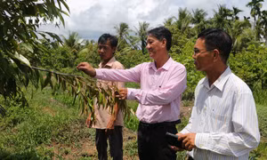 Sóc Trăng nâng cao chất lượng nguồn vốn tín dụng chính sách