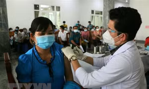 Rà soát các quy định của pháp luật về tiêm vaccine phòng COVID-19
