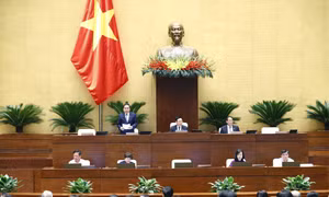 Thông cáo báo chí số 4, Kỳ họp thứ 4, Quốc hội khóa XV