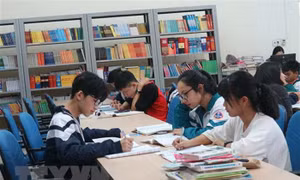 Tiêu chí xác định thư viện công lập được Nhà nước ưu tiên đầu tư