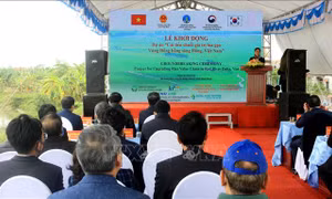 Khởi động dự án "Cải tiến chuỗi giá trị lúa gạo vùng Đồng bằng sông Hồng, Việt Nam"