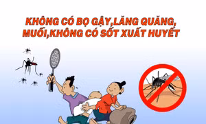 Tuyên Quang: Chủ động phòng, chống sốt xuất huyết