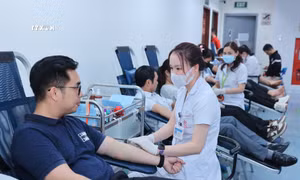 Những “sứ giả” của Lễ hội Xuân hồng 2024​
