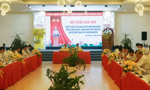 Quang cảnh Hội nghị. Ảnh: Công Thử - TTXVN