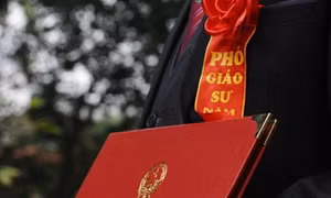 Công nhận 383 Giáo sư, Phó giáo sư năm 2022