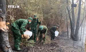 Cán bộ, chiến sĩ Đồn Biên phòng Xà Lực tham gia chữa cháy rừng trên đảo Phú Quốc. Ảnh: TTXVN phát