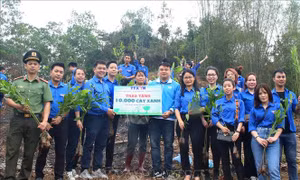 Đoàn viên, thanh niên TTXVN trao tượng trưng 10.000 cây xanh hưởng ứng "Tết trồng cây" năm 2021 và chương trình trồng 1 tỷ cây xanh. Ảnh: Tuấn Đức - TTXVN