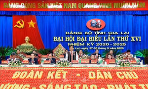 Vận dụng hiệu quả chính sách cho vùng đồng bào dân tộc thiểu số Gia Lai