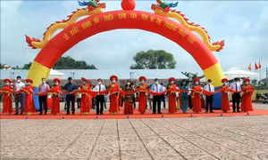 Lễ xuất hành vải thiều sớm Tân Yên đi thị trường Nhật Bản. Ảnh: TTXVN phát
