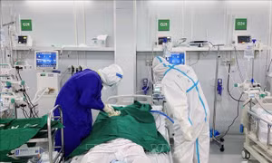 Đội ngũ y bác sĩ bệnh viện Việt Đức tận tâm ngày đêm điều trị cho bệnh nhân COVID-19 tại Trung tâm. Ảnh: TTXVN phát