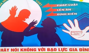 Góp ý cho Luật Phòng, chống bạo lực gia đình sửa đổi