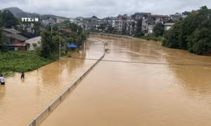 Bắc Bộ và Thanh Hóa chủ động ứng phó với mưa lớn