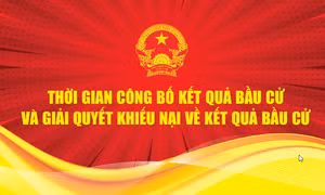 Bầu cử QH và HĐND: Thời hạn giải quyết khiếu nại về kết quả bầu cử