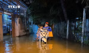 Khánh Hòa: Xả điều tiết hàng chục hồ chứa nước do mưa lớn