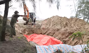 Nghệ An: Phát hiện xác cá voi nặng khoảng hơn 10 tấn trôi dạt vào bờ