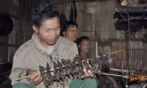 Kon Tum: Ba người ở huyện Kon Rẫy bị ngộ độc sau khi ăn thịt chuột, uống rượu
