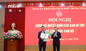 Đồng chí Trần Thắng giữ chức Phó Bí thư Đảng ủy Khối Doanh nghiệp Trung ương
