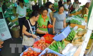 Phát triển đa dạng phương thức kinh doanh tiêu thụ nông sản theo chuỗi bền vững