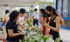 Na Lạng Sơn thu hút sự quan tâm của người tiêu dùng Thủ đô. Ảnh: bnews.vn