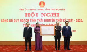 Phó Thủ tướng Trần Lưu Quang trao Quyết định của Thủ tướng Chính phủ phê duyệt Quy hoạch tỉnh Thái Nguyên thời kỳ 2021-2030, tầm nhìn đến năm 2050 cho các đồng chí lãnh đạo tỉnh Thái Nguyên. Ảnh: Thu Hằng - TTXVN