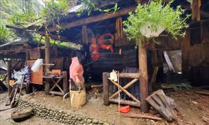 Mưa lũ gây nhiều thiệt hại tại Lào Cai
