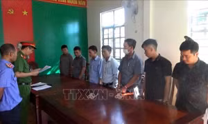 Lâm Đồng khởi tố 7 cán bộ bảo kê phá rừng