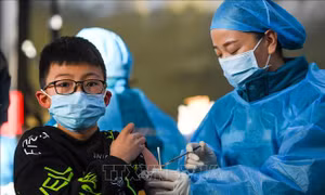 Nhân viên y tế tiêm vaccine phòng COVID-19 cho trẻ em tại Khu tự trị Nội Mông, Trung Quốc, ngày 23/11/2021. Ảnh: THX/ TTXVN