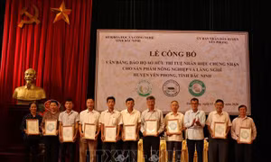 Công bố bảo hộ sở hữu trí tuệ cho các sản phẩm nông nghiệp và làng nghề thị xã Từ Sơn