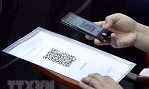 Với tài khoản định danh điện tử, công dân có thể ngồi tại nhà để thục hiện nhiều dịch vụ công. Ảnh: TTXVN