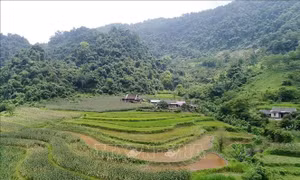 Công nhận xã An toàn khu thuộc tỉnh Lạng Sơn